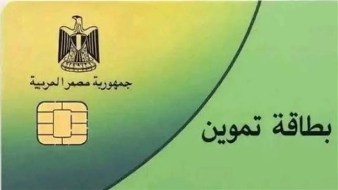 بوابة مصر الرقمية.. خطوات إضافة الأبناء للأسر الأولى بالرعاية عبر التموين